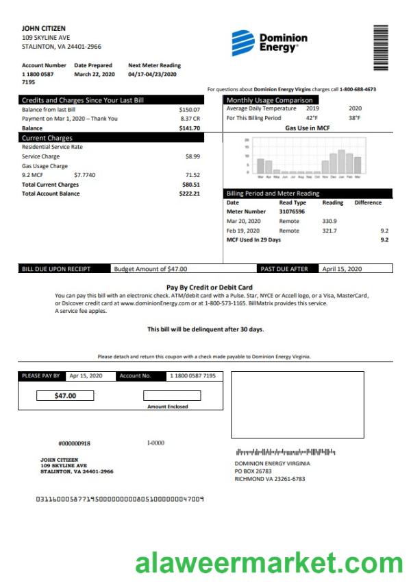USA Dominion Energy utility bill template in Word and PDF format